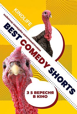 Best Comedy Shorts