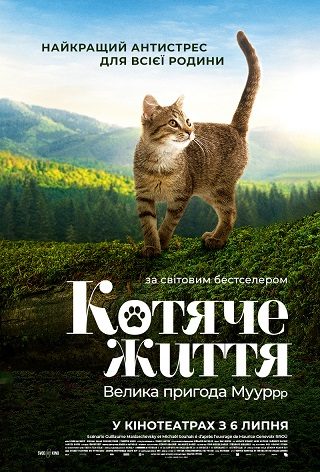 Котяче життя. Велика пригода Муурр